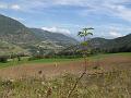 Passerelles 037